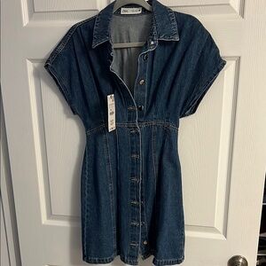 Zara Denim Button-Up Dress